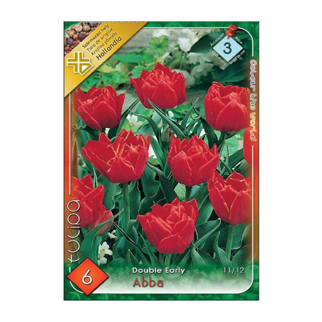 Bulbi Lalele Abba 6 buc