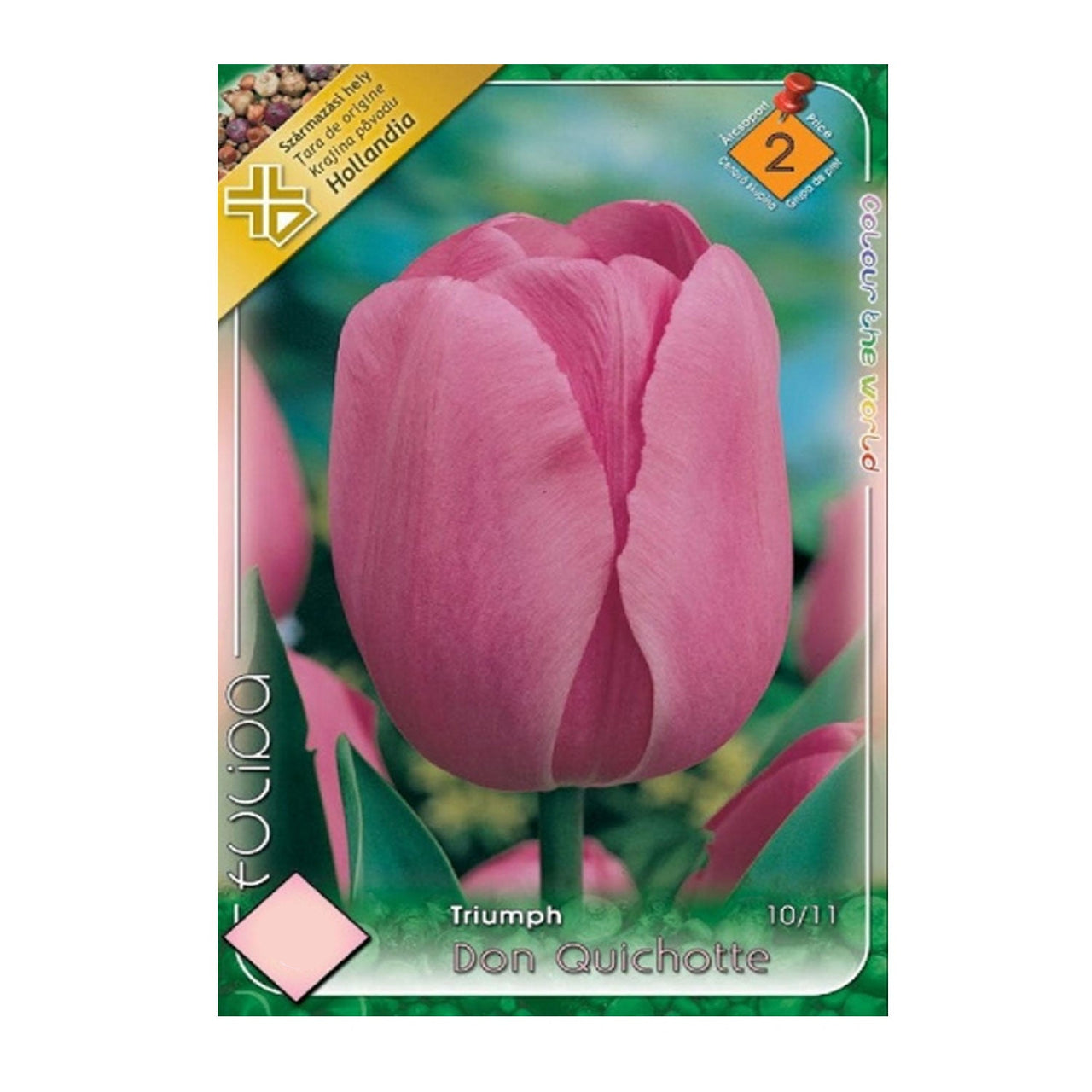 Bulbi Lalele Don Quichotte 6 buc