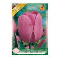 Thumbnail for Bulbi Lalele Don Quichotte 6 buc