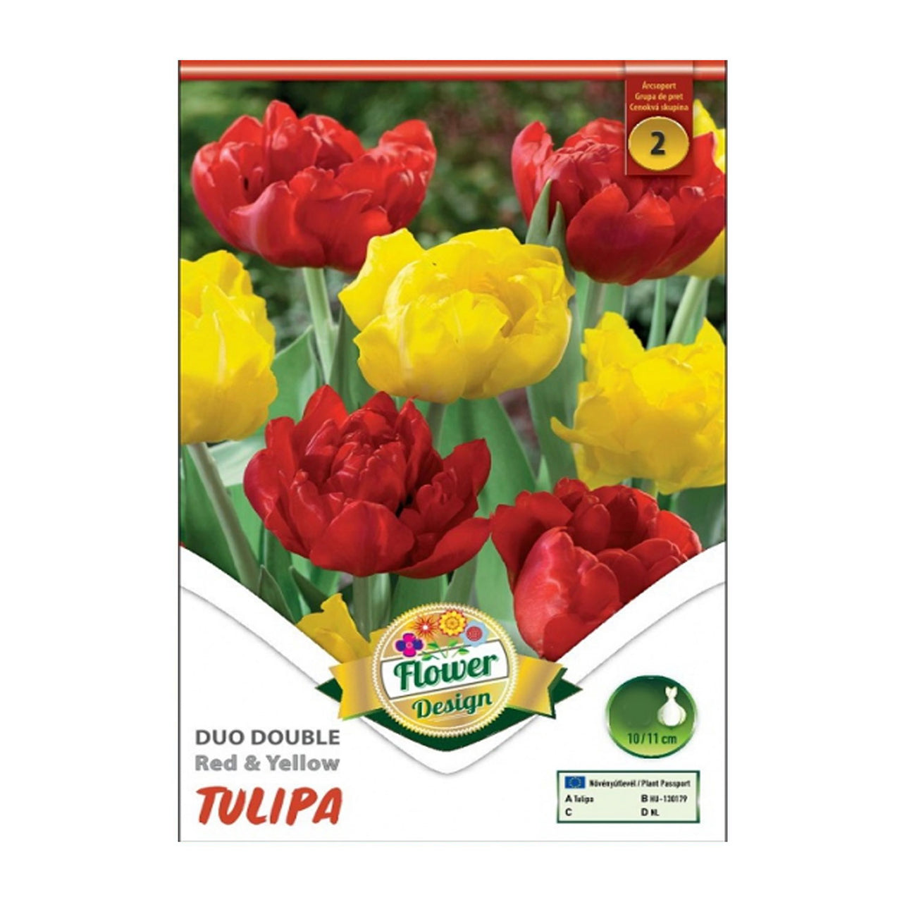 Bulbi Lalele Duble Duo Rosu si Galben 6 buc