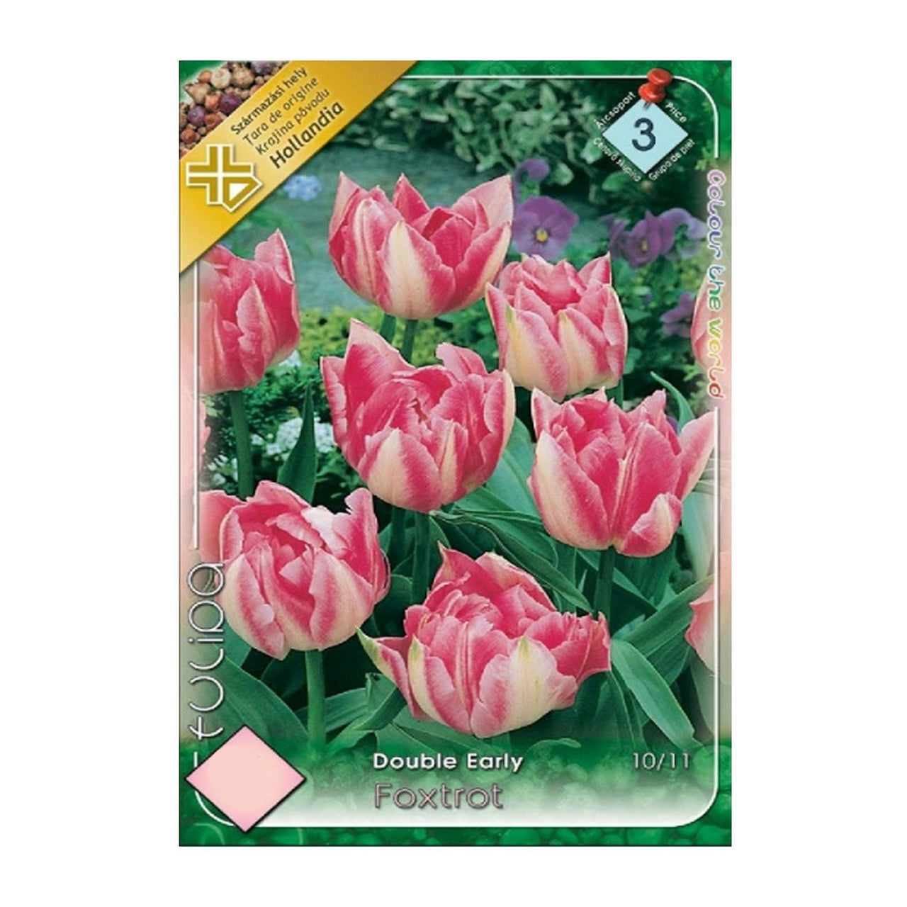 Bulbi Lalele Peach Blossom/Foxtrot 6 buc