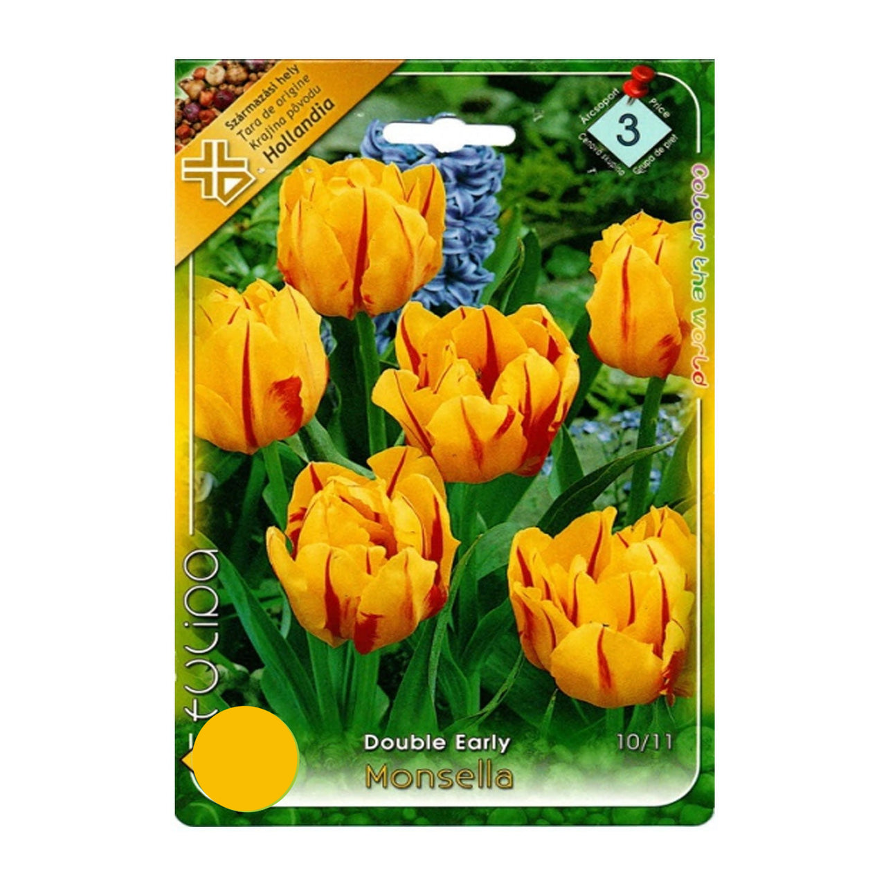 Bulbi Lalele Monsella 6 buc