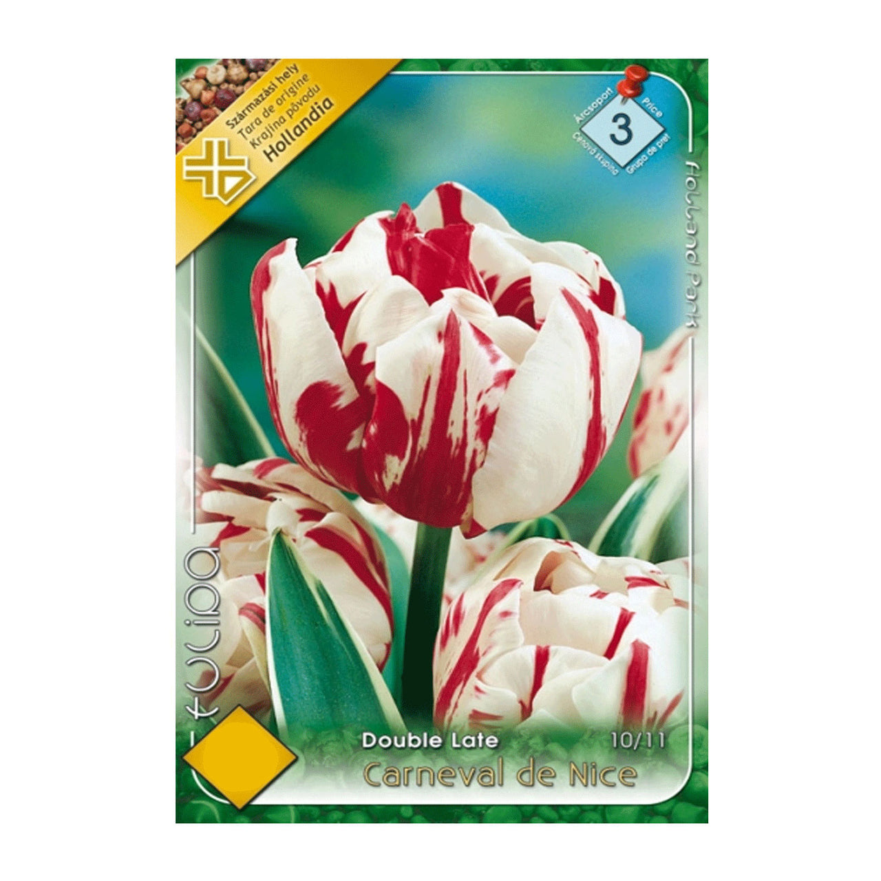 Bulbi Lalele Carneval de Nice 7 buc