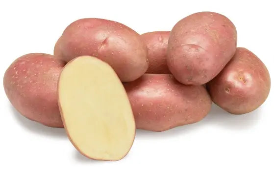 Cartofi de samanta Evolution, extratimpurii, caserola cu 50 tubercuri, clasa A