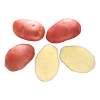 Thumbnail for Cartofi de samanta Desiree, semi-tardivi, Clasa A