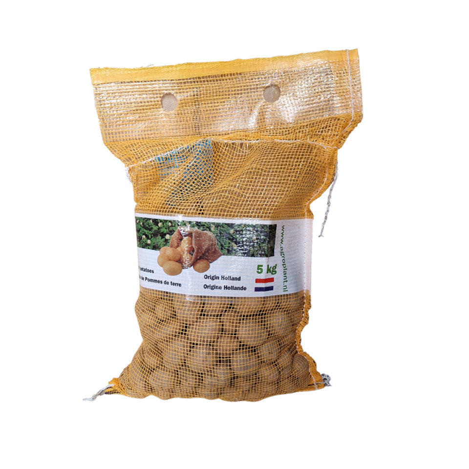 Cartofi de samanta Liselotte, semitardivi, Clasa A