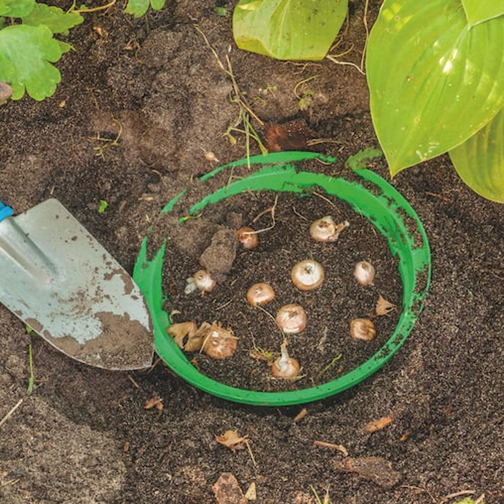 Cos pentru plantat bulbi