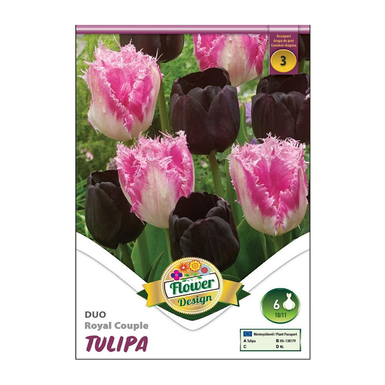 Bulbi Lalele Duo Royal Couple 6 buc