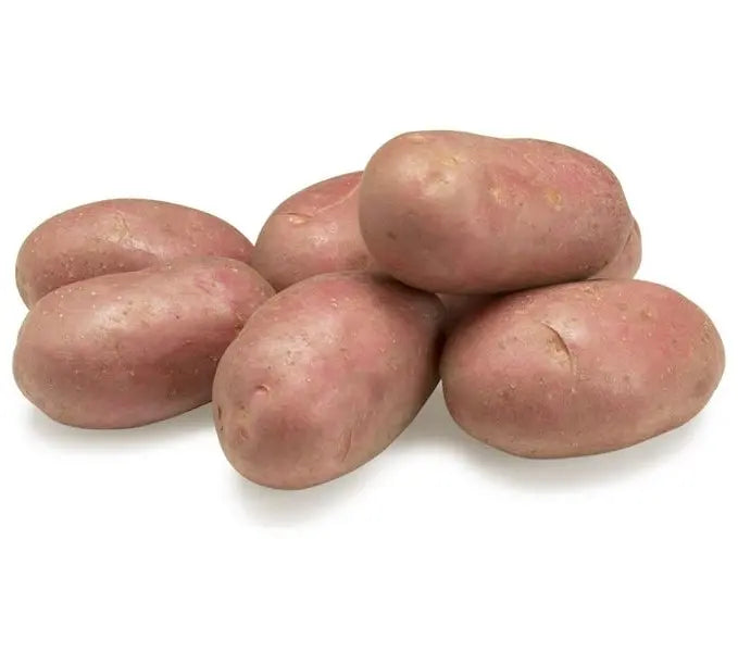 Cartofi de samanta Esmee, timpurii, caserola cu 50 tubercuri, clasa A