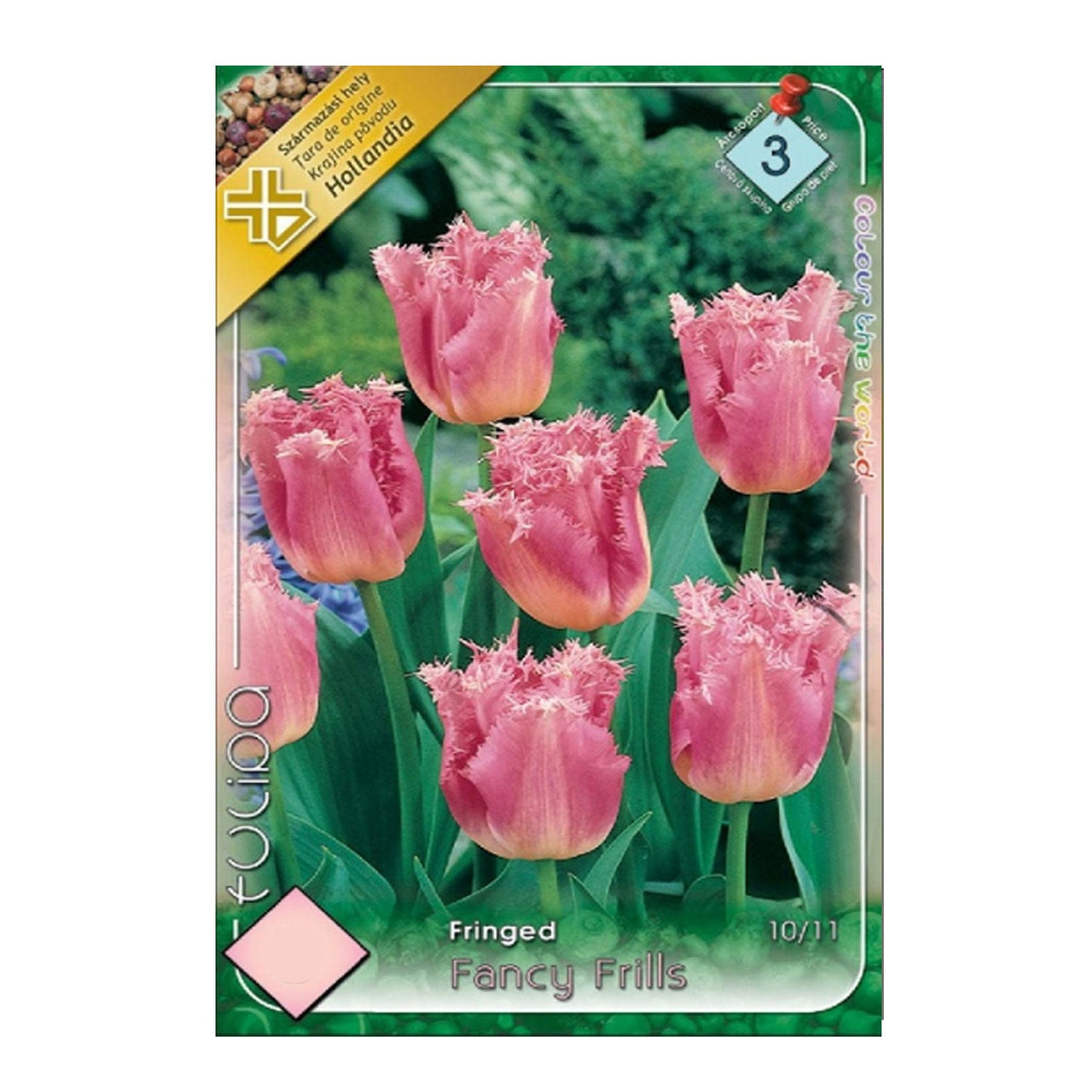 Bulbi Lalele Fancy Frills 8 buc