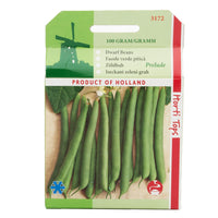 Thumbnail for Seminte Fasole Prelude 100g