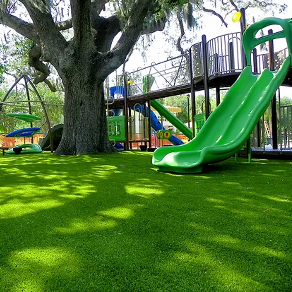 Seminte de gazon sport amestec (250 g, 500 g, 1 kg)