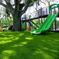 Thumbnail for Seminte de gazon sport amestec (250 g, 500 g, 1 kg)