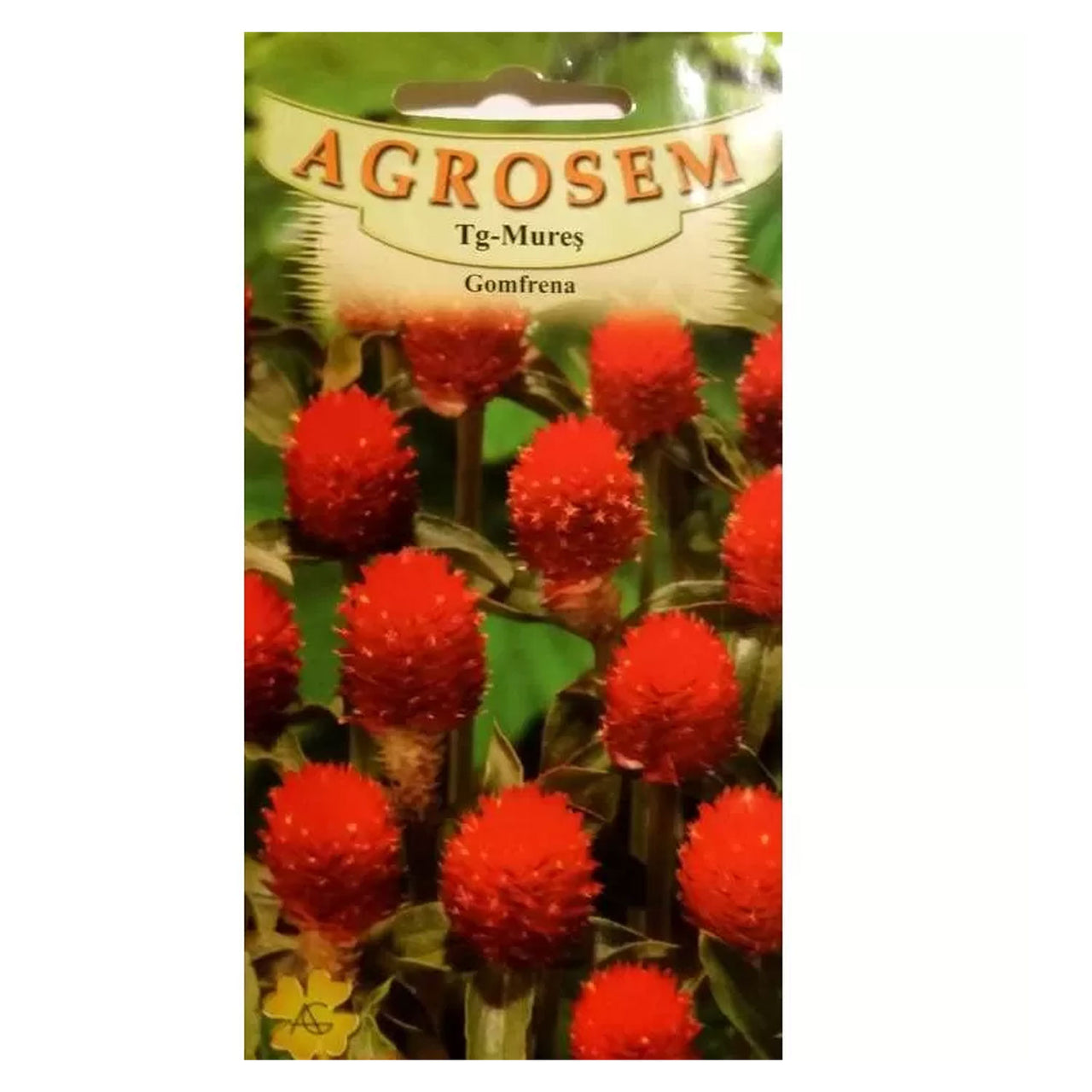 Seminte flori Gomfrena (Gomphrena globosa) rosie 0.15g