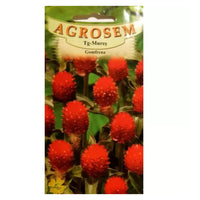 Thumbnail for Seminte flori Gomfrena (Gomphrena globosa) rosie 0.15g