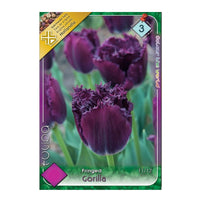 Thumbnail for Bulbi Lalele Gorilla 6 buc