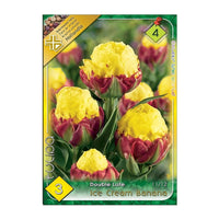 Thumbnail for Bulbi Lalele Ice Cream Banana 3 buc