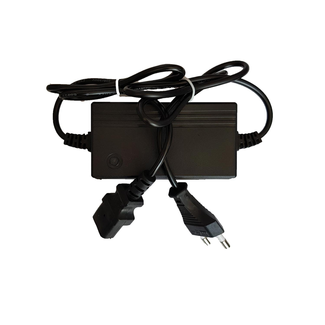 Imagine produs: Incarcator Pompa de stropit cu acumulator Pandora GF-0658 - Disponibil pe Plantazia.ro