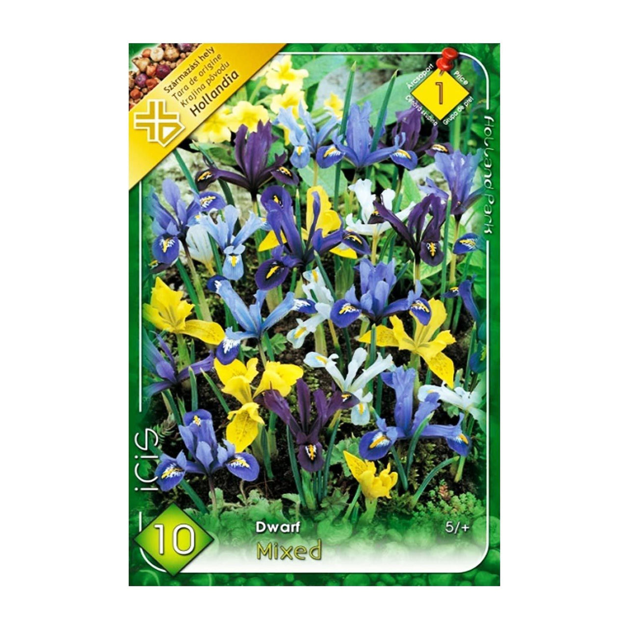 Bulbi Iris Dwarf Mix 10 buc