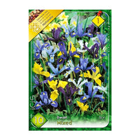 Thumbnail for Bulbi Iris Dwarf Mix 10 buc
