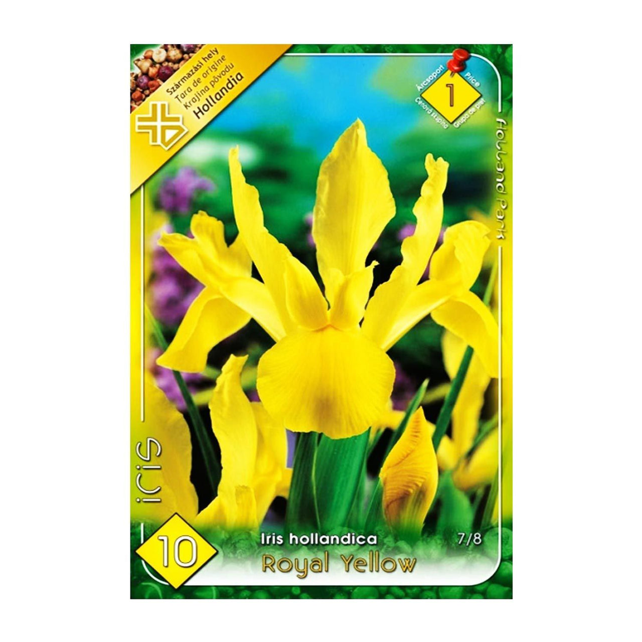 Bulbi Iris Royal Yellow 10buc