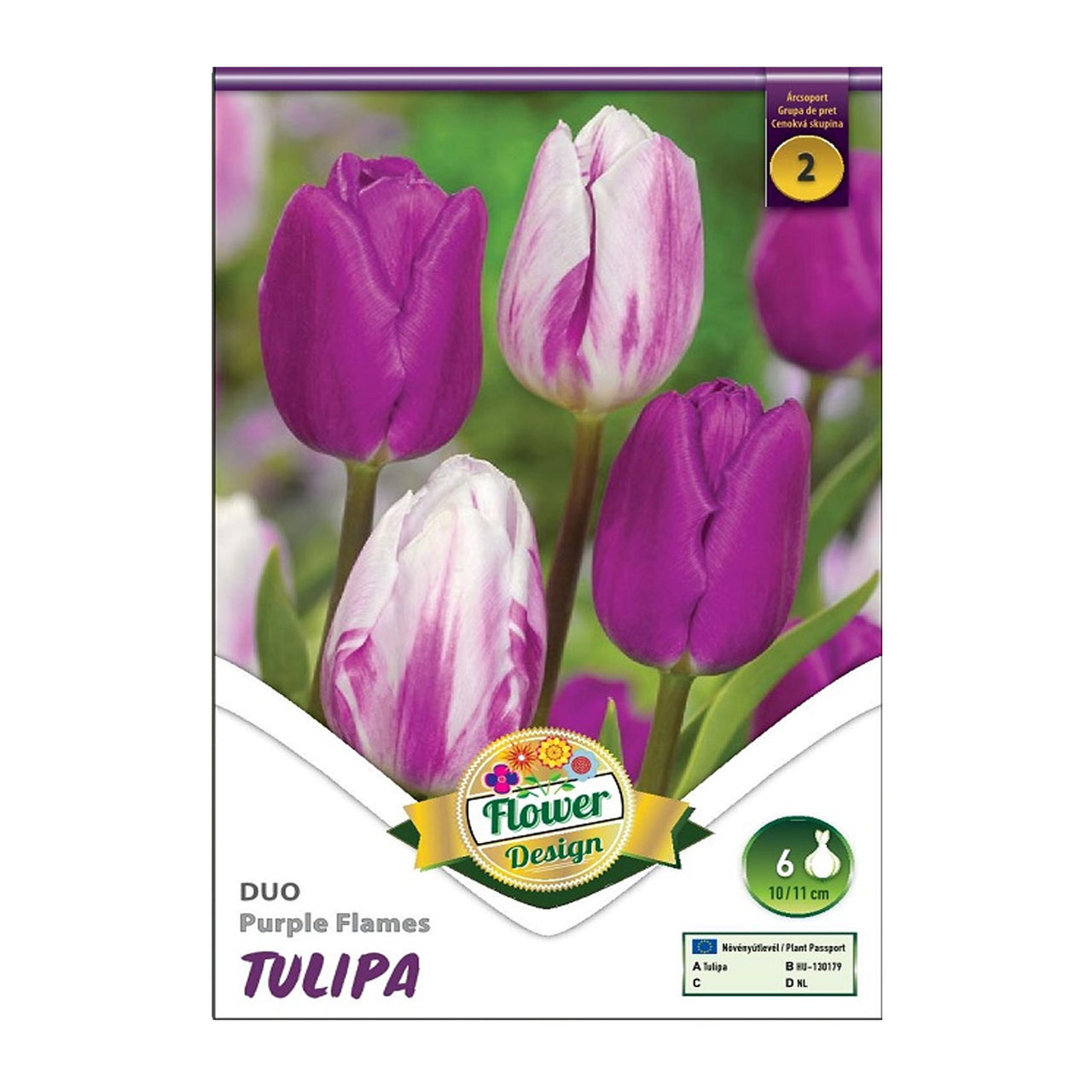 Bulbi Lalele Duo Purple Flames 6 buc