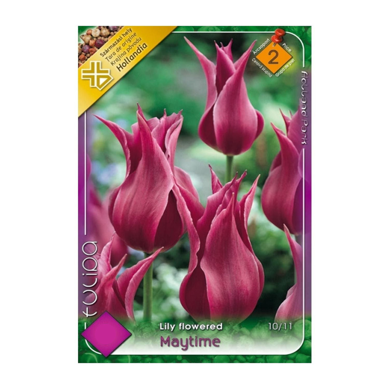 Bulbi Lalele Maytime 6 buc