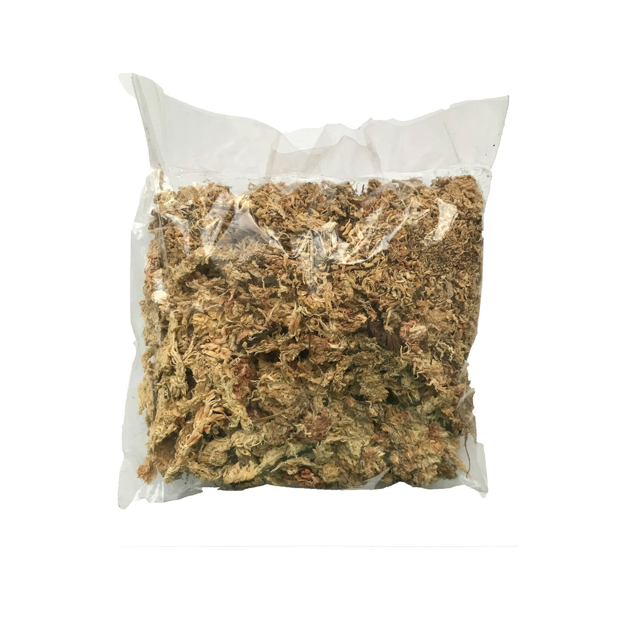 Muschi Sphagnum Chilean 15g