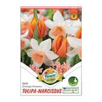 Thumbnail for Bulbi Lalele-Narcise Duo Orange Dreams 6 buc