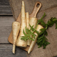 Thumbnail for Seminte Patrunjel Berliner 5g, 10g