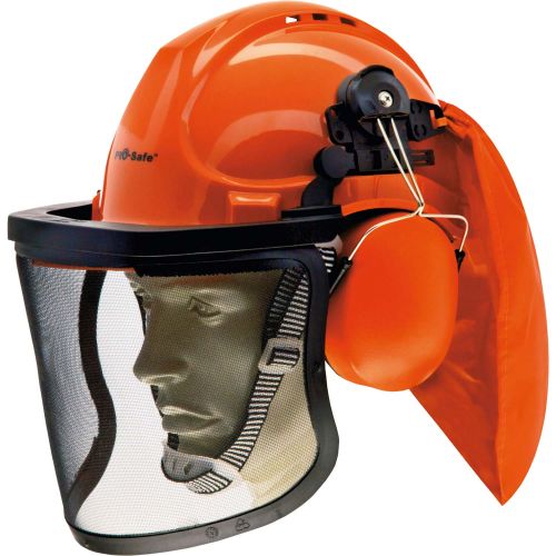 Imagine produs: Casca de protectie cu antifoane si viziera - Disponibil pe Plantazia.ro