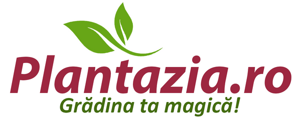 Plantazia
