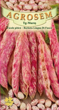 Thumbnail for Seminte Fasole Borlotto Lingua di Fuoco 100g