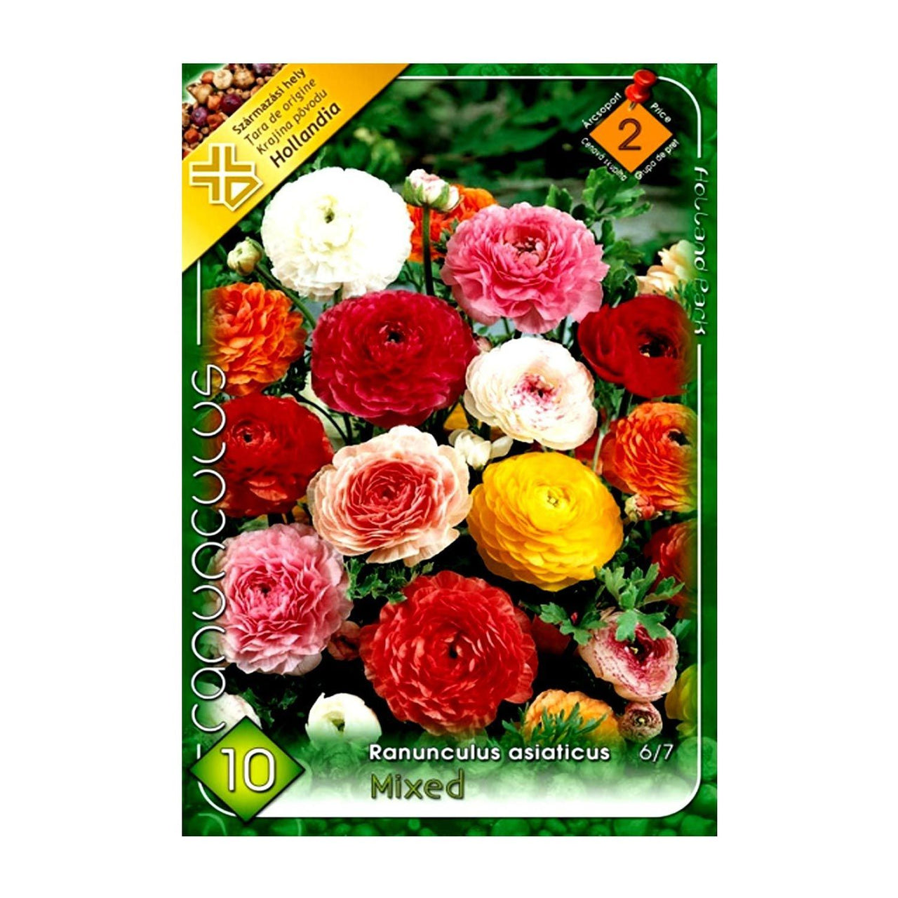Bulbi Ranunculus Asiaticus Mix 10 buc