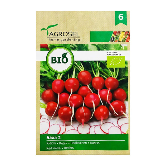 Seminte Bio Ridichi Saxa 2 3g