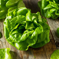 Thumbnail for Seminte Salata Justine F1 1g