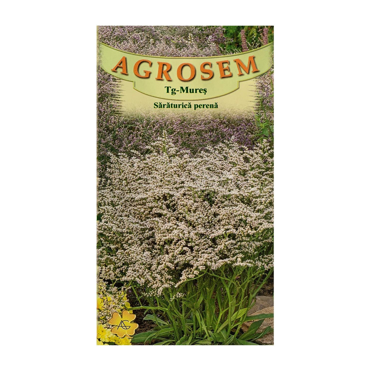 Seminte flori Saraturica (Limonium tataricum) alba 0.05g