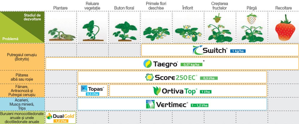 Schema de Tratament Capsun | Produse Combatere Putregai si Boli ...