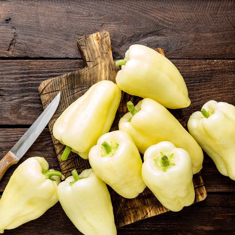 Seminte Ardei Gras Albaregia 0.5g