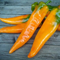 Thumbnail for Seminte Ardei lung Corno di Toro Giallo 0.5g