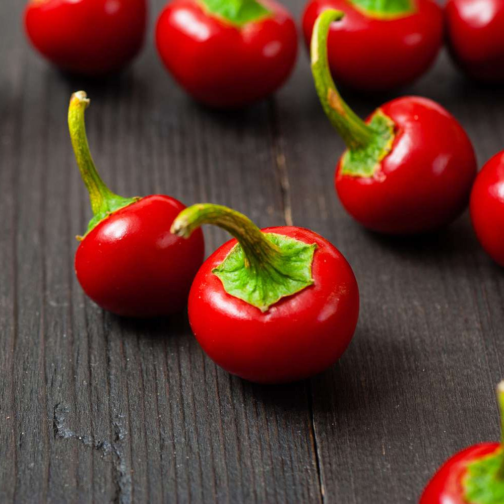 Seminte Ardei Iute Alma Picante 0.25g