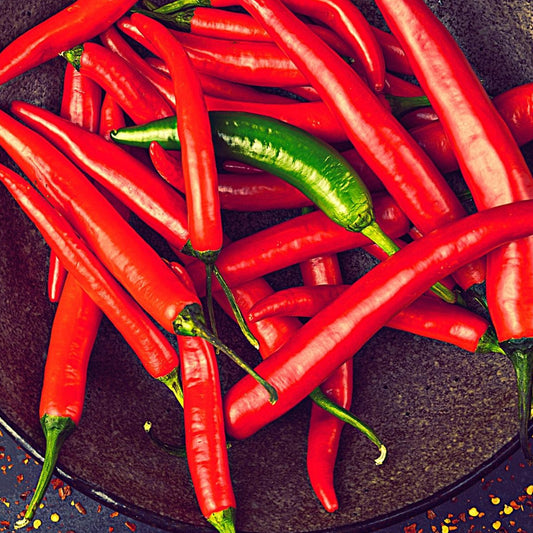 Seminte Ardei Iute De Cayenne 0.7g