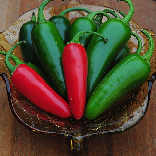 Seminte Ardei Iute mexican Jalapeno 0.3g