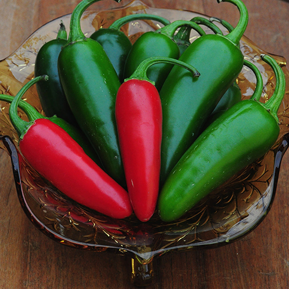 Seminte Ardei Iute mexican Jalapeno 0.4g