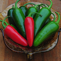 Thumbnail for Seminte Ardei Iute mexican Jalapeno 0.4g