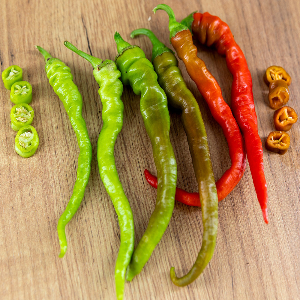 Seminte Ardei Sigaretta di Bergamo 0.5g