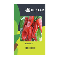 Thumbnail for Seminte Ardei Kapya Napoca F1 (50sem, 100sem)