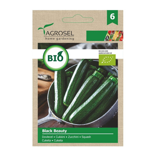 Seminte Bio Dovlecel Black Beauty 3g