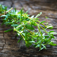 Thumbnail for Seminte Cimbru 1g