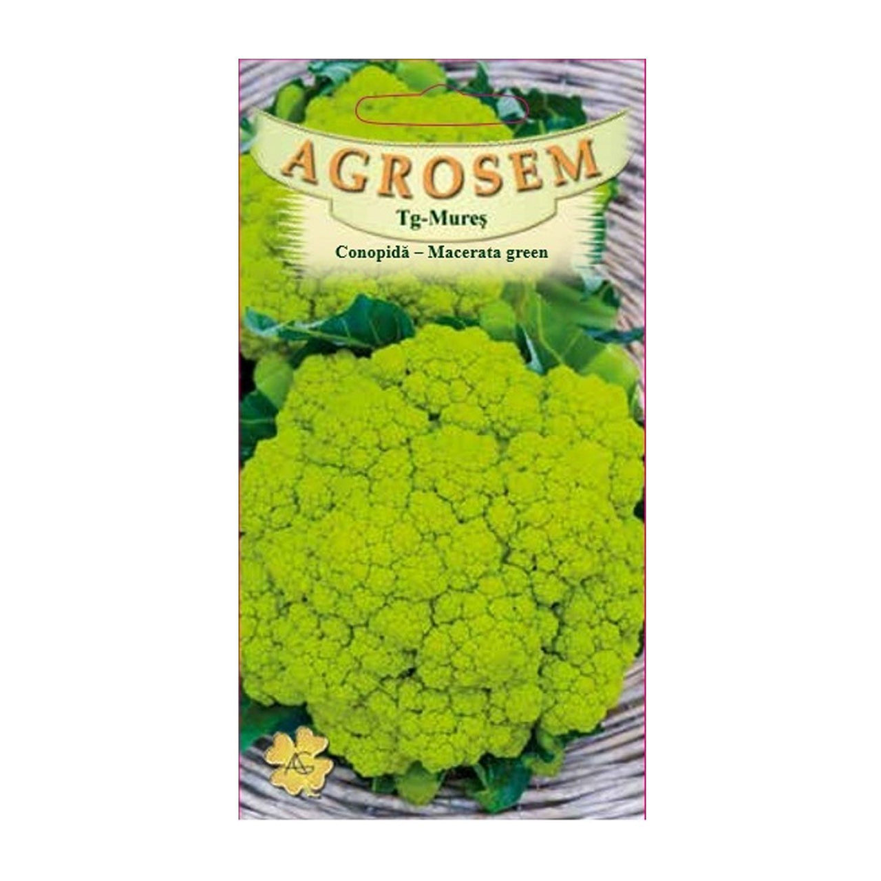 Seminte Conopida Macerata green 1g